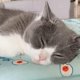 thumbnail image 3 of Cama de enfriamiento para perros/gatos, tapete de enfriamiento para mascotas de verano hecho de seda de hielo, tapete de enfriamiento de seda de hielo lavable, manta de enfriamiento para mascotas L -, 3 of 4