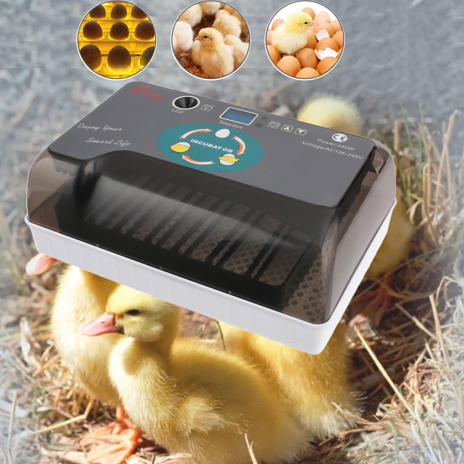 12 Egg Incubator User Manual