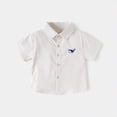 thumbnail image 2 of NIEWTR Boys Minimalist Solid Short Sleeve Button Down Shirt Collared Tops for Casual & Formal Events(Khaki,2-3 Years), 2 of 9