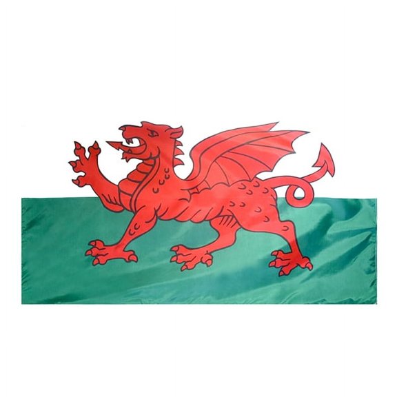 2x3' DURAWAVEZ WALES NYLON FLAG CH&G