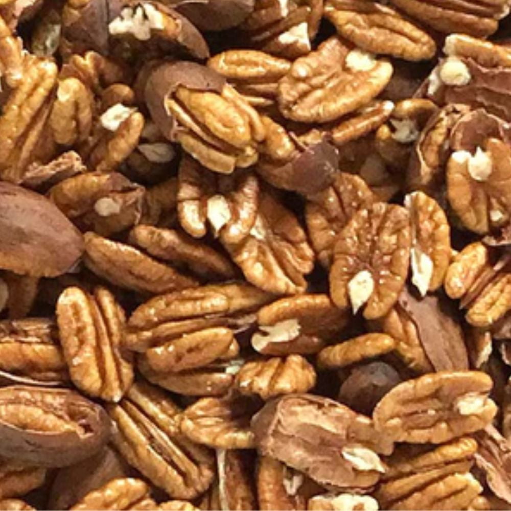 Expert Gardener Ellis Pecan Live Tree, 2-3 ft Tall, 5 gal Grower Pot