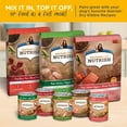 thumbnail image 4 of Rachael Ray Nutrish Premium Paté Gentle Digestion Real Chicken, Pumpkin & Salmon Recipe Wet Dog Food, 13 oz. Can, 4 of 7