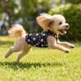 thumbnail image 6 of Fall Decor Dog Vest Costume,Soft Breathable Pumpkin Ghost Printed Festive Outfit Dog Shirts for Small Dogs,Holiday Party Clothes for Outdoor Event Celebration,Black, 6 of 9