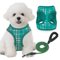 Magshion No Pull Dog Harness with Leash, No Choke Reflective Pet Vest Adjustable Breathable Mesh Harnesses Dogs Walking, Lawn Green XS