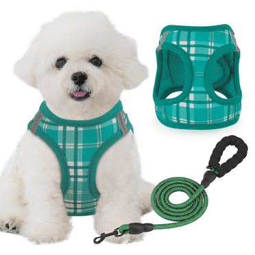 Magshion No Pull Dog Harness with Leash, No Choke Reflective Pet Vest Adjustable Breathable Mesh Harnesses Dogs Walking, Lawn Green XS