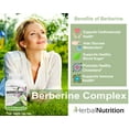 thumbnail image 3 of Berberine Complex 1250mg with Berberine HCL, Bitter Melon Extract and Banaba Leaf, Supports Glucose Metabolism, Immune Health & Weight Management, 3 of 8