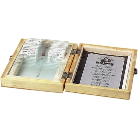 #4877 Bacteria, Simple Organisms (10 Slides)