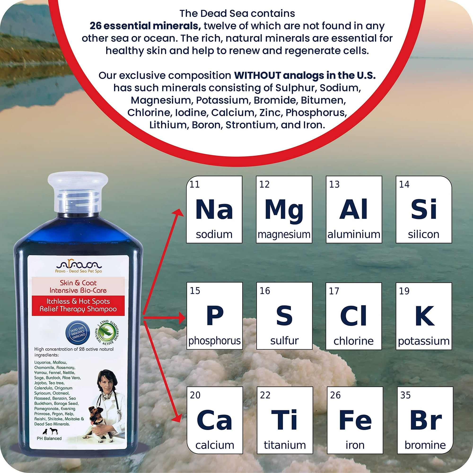 Dog skin infection shampoo online