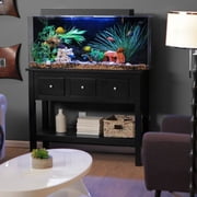 Clear For Life 26 Flat-Back-Hexagon UniQuarium - Black Back