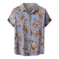 thumbnail image 1 of Camisa de playa de manga corta hawaiana para hombre, camisas informales con botones de verano estampadas Pompotops oipoqjl25089, 1 of 9