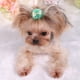 thumbnail image 4 of Horquillas para el pelo hechas a mano con bonitos patrones, accesorios para el pelo de perros y gatos, Doggreen, 4 of 5