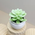 thumbnail image 2 of Mini Green Plant, Ongmies Green Artificial  In Plastic Pots Decor Aesthetics Home Decor Faux Plant Halloween for Women, Plastic Succulent Plant, 2 of 9