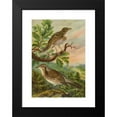 thumbnail image 2 of Johann Friedrich Naumann 11x14 Black Modern Framed Museum Art Print Titled - Sylvia Musical, Sylvia, 2 of 5