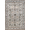 thumbnail image 4 of nuLOOM Xenia Faded Transitional SplashGuard Machine Washable Area Rug, 4' x 6', Xenia Taupe, 4 of 9