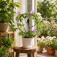 thumbnail image 6 of Indoor Trellis for Climbing Plants, Sturdy Metal Support for Potted Plants, Plants Trellis for Potted Plants, Vines Plants Support for Garden, 6 of 7