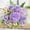 E #5, variant on Artificial Silk Peony Flowers Bouquet | Real-Like Fake Flowers for Wedding Centerpieces, Bridal Decor, Valentines, Home Decoration | 30cm Long Stems Silk Flowers for Vase, Party, Office & Shop Decor