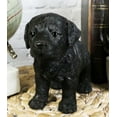 thumbnail image 3 of Lifelike Adorable Black Labrador Retriever Puppy Dog Statue 5"H Memorial Pet Pal, 3 of 8