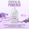 thumbnail image 2 of Lavender essential oil household cleaning vinegar (1 gallon) 6% non-toxic distilled white vinegar, for cleaning purposes, white vinegar, (128 liquid ounces (1 pack), Lavender), 2 of 4