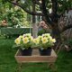 thumbnail image 1 of Soporte para plantas, soporte rústico de madera con forma de rueda de carro, jardinera, cesto para flores, estante para el hogar, jardín, macetas,, 1 of 8