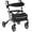 Silver, variant on Rollator Walker for Seniors, Lightweight Foldable Walker with Seat Supports 250lb, 8" Big Wheels for All Terrain, Dual Height Adjustment, Aluminum Walkers with 5" Ultra Backrest for Seniors, Silver