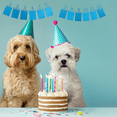 thumbnail image 3 of Monthly Photo Banners, Birthday Milestone Party Decorations Sign Garland Flags, Gift for Party Planners, Blue, 1 set, 3 of 10