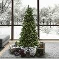 thumbnail image 5 of Vickerman 6.5' x 39" Southern Mixed Spruce Artificial Christmas Tree, LED Multi-colored Lights, 5 of 5