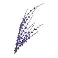 thumbnail image 1 of maskred Realistic And Elegant Decor With Artificial Flowers Low Maintenance Choice purple 1Set, 1 of 6