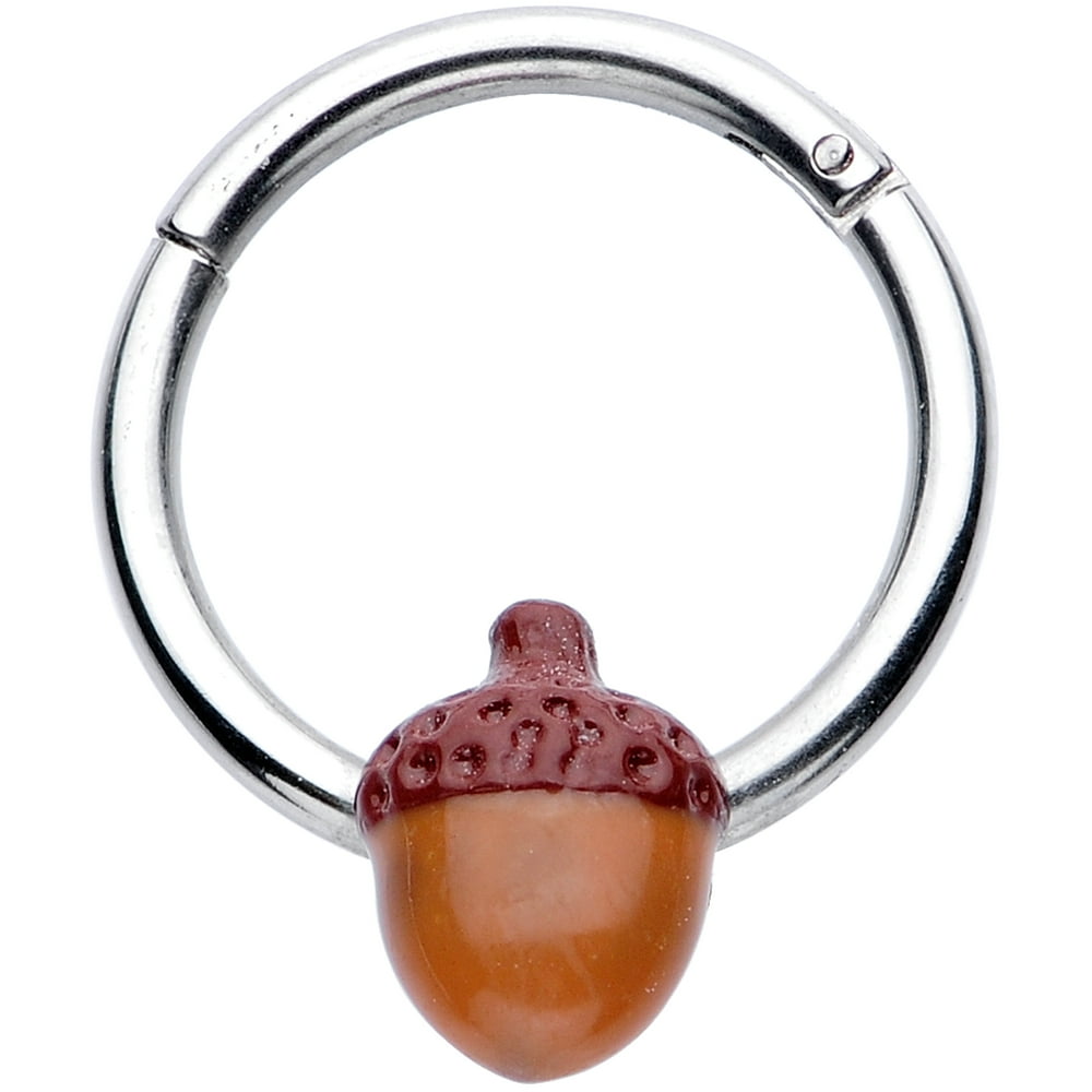 Body Candy Body Candy 16G Steel Hinged Segment Ring Seamless