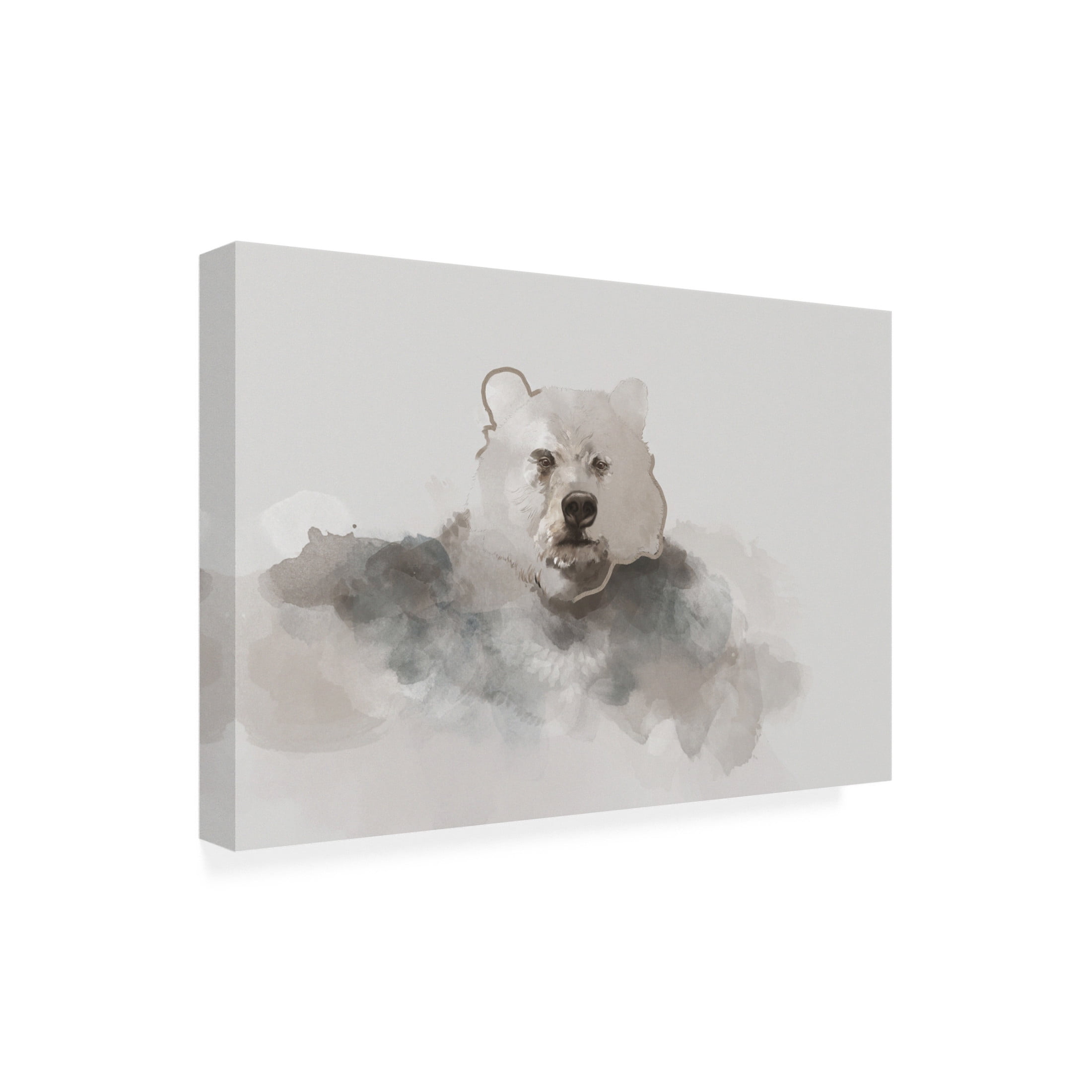 Trademark Fine Art Gabriella Roberg  Bear Canvas Wall Art