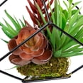 thumbnail image 6 of Northlight 7" Succulent Artificial Arrangement in Black Wire Terrarium - Green/Black, 6 of 7