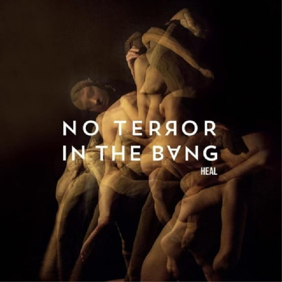 No terror in the bang Heal (Vinyl Record)