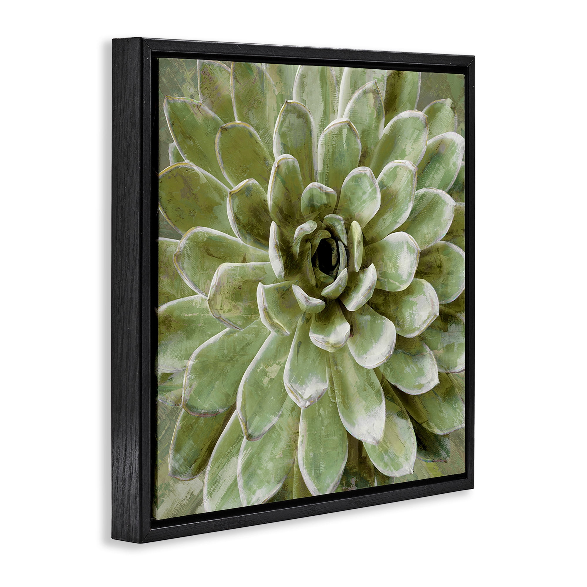 Stupell Industries Green Botanical Succulent Bloom Botanical & Floral Painting Black Floater Framed Canvas Art Print Wall Art, 25 x 25
