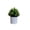 Green-A, variant on EQWLJWE Artificial Bonsai Tree Cloud Pine Bionic Plant Indoor Small Fake Plants 7.09*4.72(L*W)inch Living Room Desktop Landscape Decoration