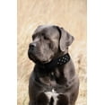thumbnail image 2 of Collier pour Chien en Cuir ATHENS à Multiples Rangées avec Strass, 2 of 4
