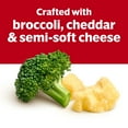 thumbnail image 4 of Campbell's Condensed Broccoli Cheese Soup, 10.5 oz Can, 4 of 14