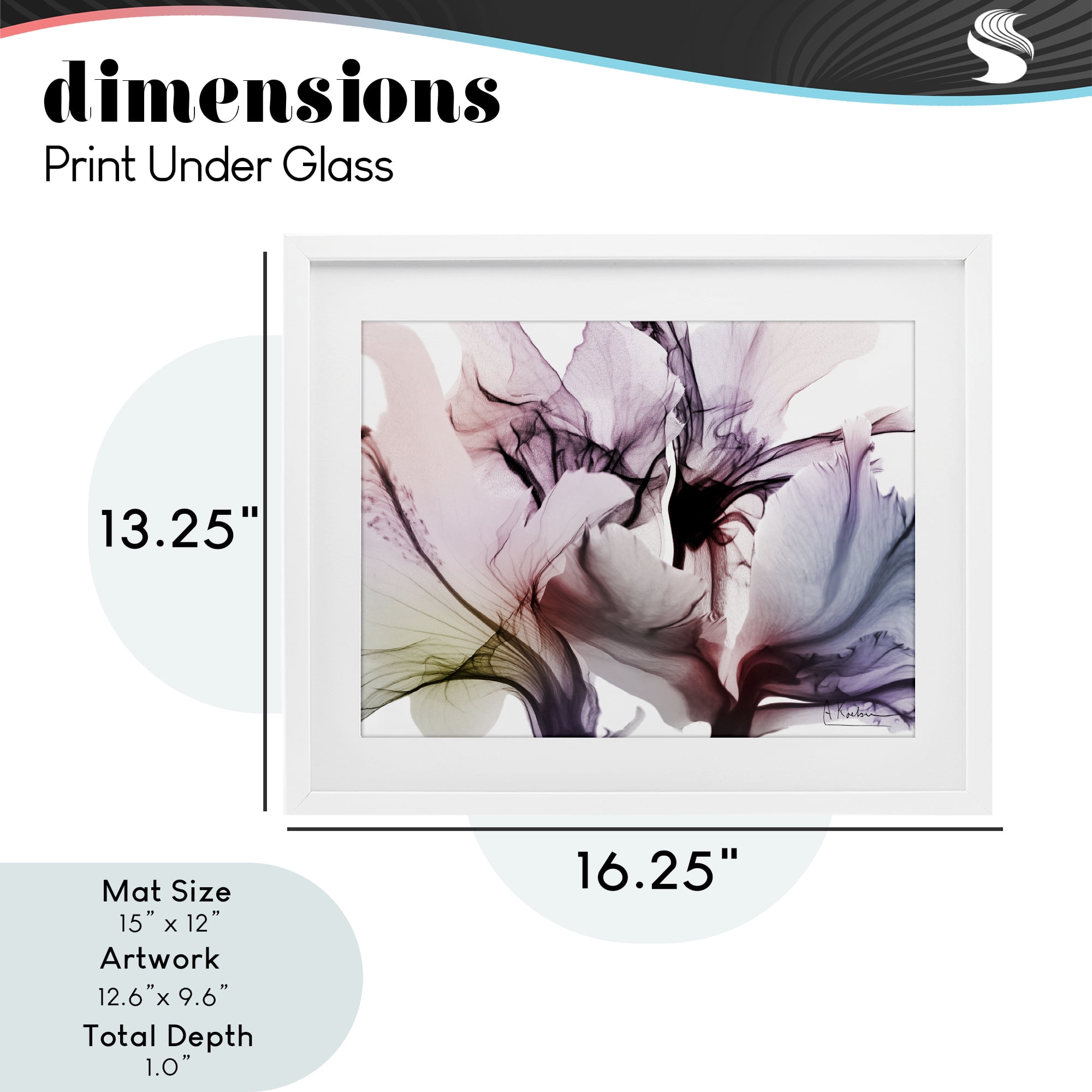 Stupell Industries Brilliant Song Flower Petals White Framed Print Under Glass, design by Albert Koetsier