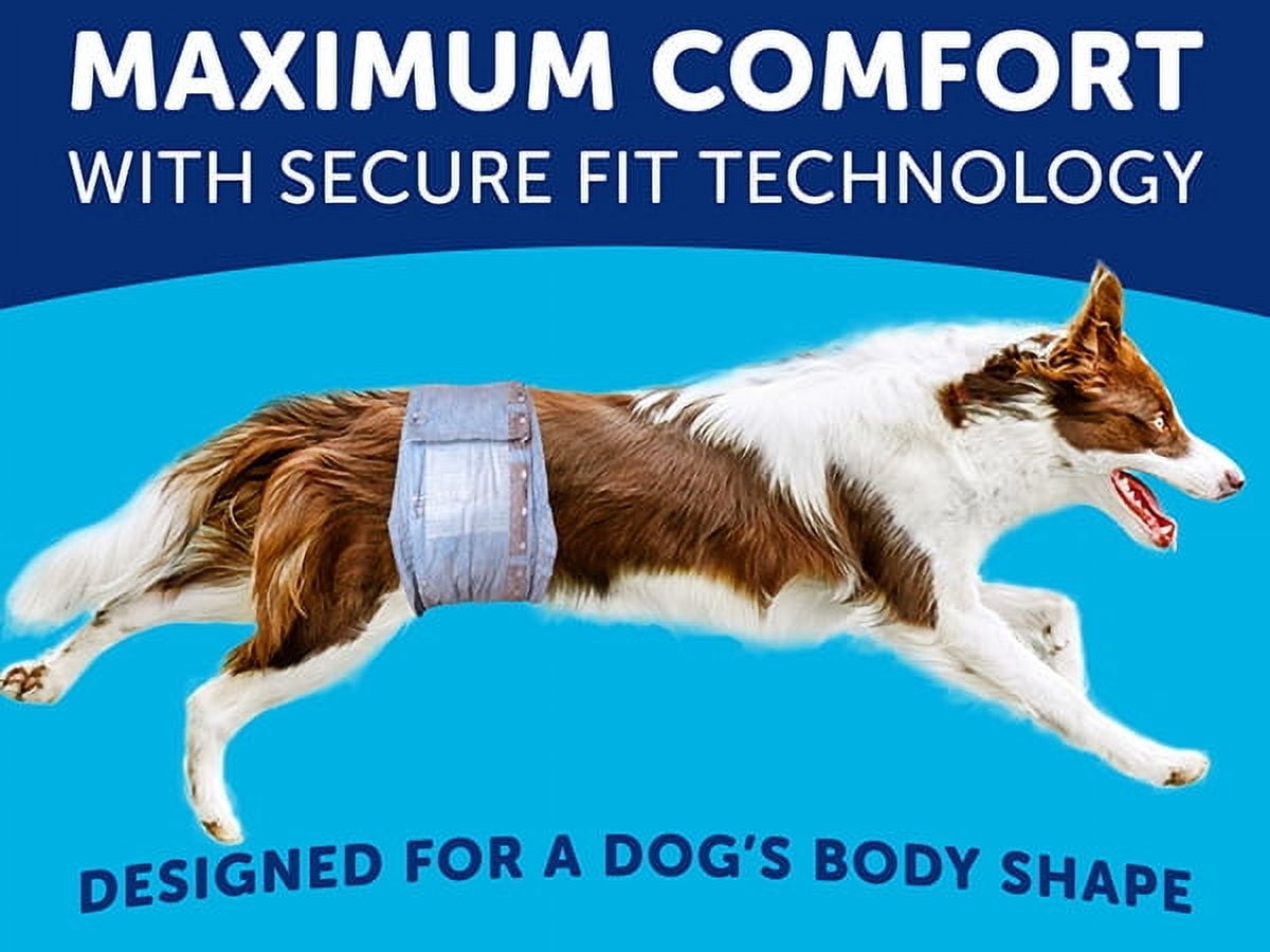 Hartz Comfitables Male Dog Wraps with Stretchy Waistband, Medium 36 Count