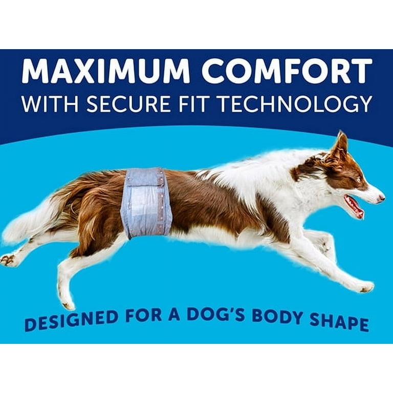 Hartz, Male Dog Wraps, 40 Count, Blue, With Stretchy Waistband