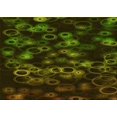 thumbnail image 1 of Ahgly Company Indoor Rectangle Patterned Olive Green Area Rugs, 8' x 12', 1 of 1