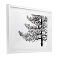 thumbnail image 2 of Cardinal in Stark Winter Tree White Framed Print Under Glass, 23 x 17, Made In USA, 2 of 8