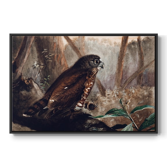 Vintage Animal Print-XVII By Wexford Home Framed in Black Wood Gallery Wrapped Canvas 17 in. x 25 in.