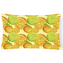 Carolines Treasures BB7517PW1216 Watercolor Limes and Oranges Citrus Canvas Fabric Decorative Pillow 12H x16W