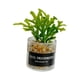 thumbnail image 5 of Bonsái en maceta para casa de muñecas, modelado de adornos verdes, mini juguetes para casa de muñecas, estilo g, 5 of 9