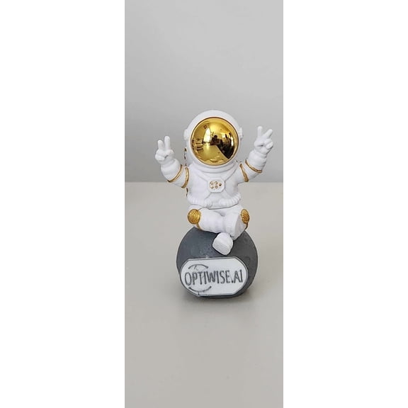 Optiwise cool Astronaut