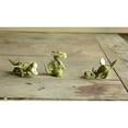 thumbnail image 2 of Top Collection 4412 Miniature Fairy Garden & Terrarium Mini Dragon Statue, Small, 2 of 2