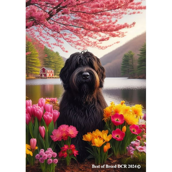 Briard Black -   Best of Breed DCR Spring Garden Flag
