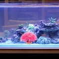 thumbnail image 3 of HAMPPLIES Para Acuario Con Planta Artificial Rosa De Calidad Y Realismo, 3 of 5