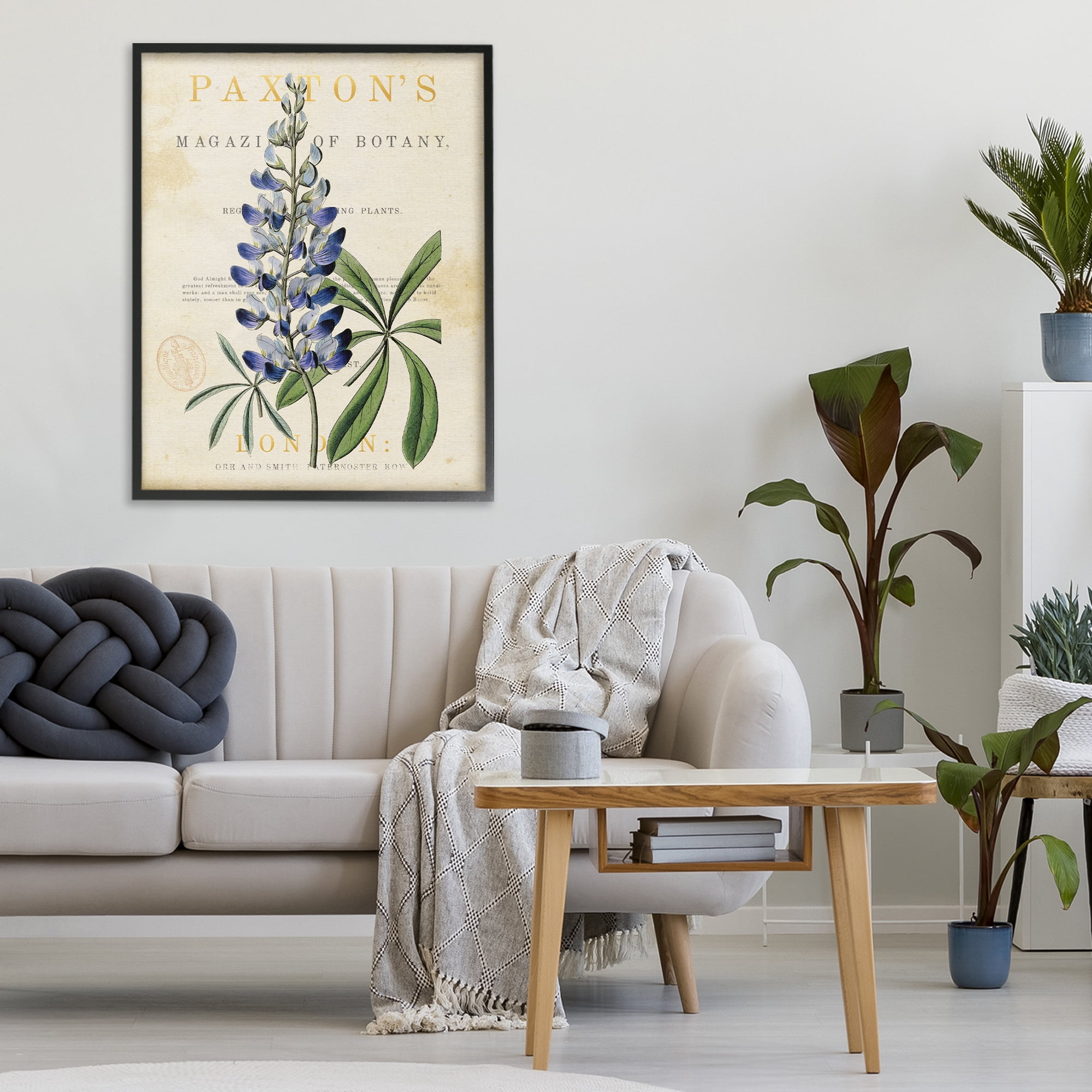 Stupell Industries Natural Botany Lupine Black Framed Giclee Art, design by Susan Arnot
