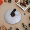 thumbnail image 6 of TOOPTY Velvet Pumpkin Decoration Coffee Color Plush Stuffed Ornament Soft Fabric Seasonal Accent for Fall and Halloween Home Decor, 6 of 6