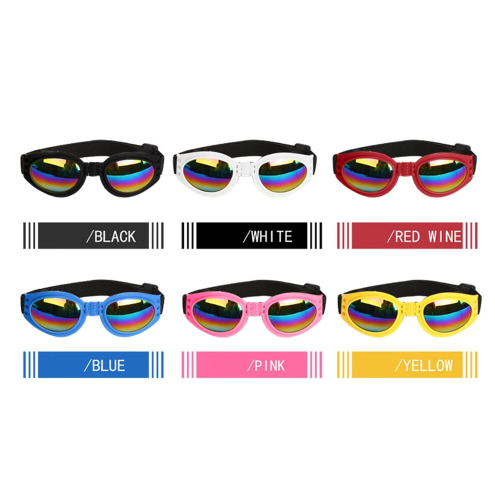 red dog sunglasses